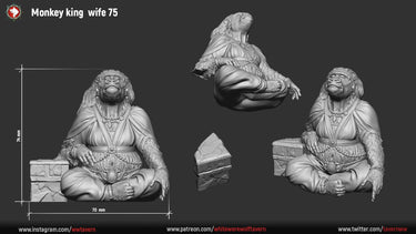 Monkey King's Wife